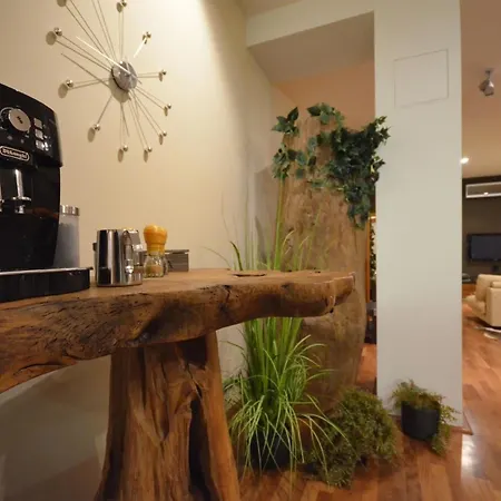 Ferienwohnung Mit Terrasse 公寓 *
